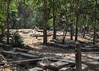 taprohm02 : Kambodscha, Angkor, Ta Prohm