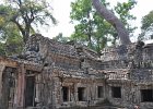 taprohm14 : Kambodscha, Angkor, Ta Prohm
