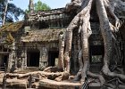 taprohm33 : Kambodscha, Angkor, Ta Prohm
