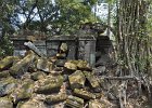 taprohm37 : Kambodscha, Angkor, Ta Prohm