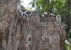 taprohm59 : Kambodscha, Angkor, Ta Prohm