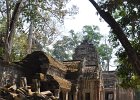 taprohm66 : Kambodscha, Angkor, Ta Prohm