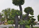 arun004 : Thailand, Wat Arun, Arun Tempel, Bangkok