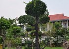 arun016 : Thailand, Wat Arun, Arun Tempel, Bangkok