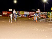 350  das Lassowerfen bei Rindern