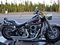 ladybike  das Ladybike