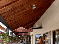 usawy0477  alles dreht sich um den Bär