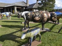 usawy0481  im Bisongarten