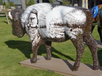 usawy0482  im Bisongarten