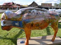 usawy0484  im Bisongarten