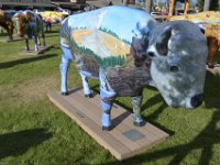 usawy0486  im Bisongarten