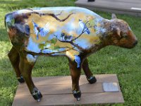 usawy0488  im Bisongarten