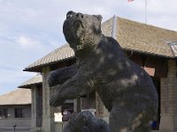 usawy0491  Bär und Wolf Research Center