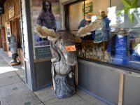 usawy0506  der 900$ Elch