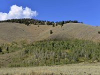 usaynp168  Wald und Wüstengebiet