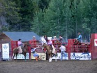 usaynp229  die Pferde flippen aus