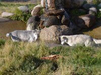 usaynp272  beim Fischen