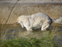 usaynp289  fast hatte ich ihn