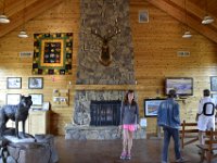 usaynp321  Information über Bär und Wolf