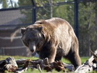 usaynp431  der ist aber gut versteckt