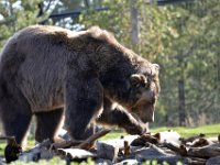 usaynp433  na dann such ich weiter