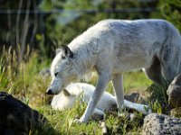 usaynp439 tonemapped  schau mal ob was los ist