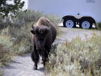 usaynp103  der kommt auf uns zu