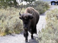 usaynp104  da war er schon auf Angriff