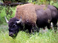 usaynp123  er beobachtete mich genau