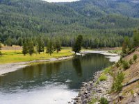 usawy0161  der Anfang des YNP