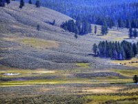 usaynp059 t  zu sehen