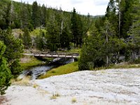usawy0296  der Rundweg durch den Wald