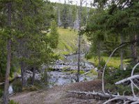 usawy0298  Waldspaziergang