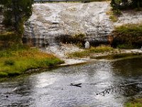 usawy0303  Schwefelgeruch überall