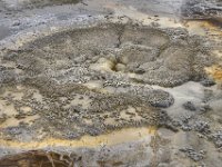 usawy0320  bizarre Struckturen