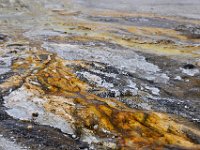 usawy0328  die Arbeit der Mikroben