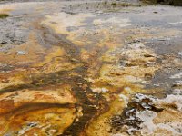 usawy0329  Mikroben im Gewässer