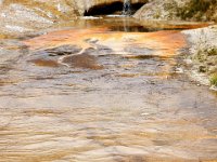 usawy0356  Mikrobenstruktur