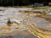 usawy0370  Wasser überall