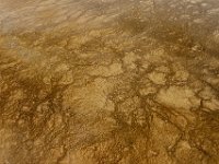 usawy0400  Mikroben unter Wasser